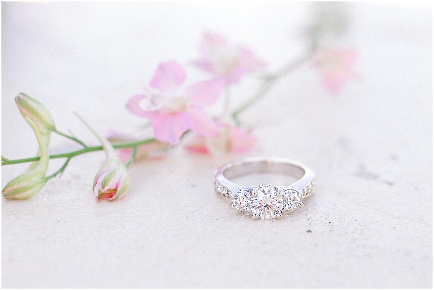 Summer Maymont Park Engagement Session_0022.jpg